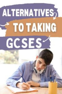 Boy studying for an exam, text reads "Alternatives to GCSEs"